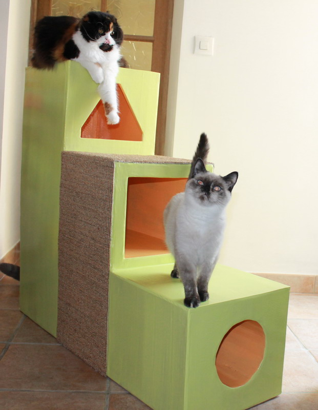 arbre a chat en carton